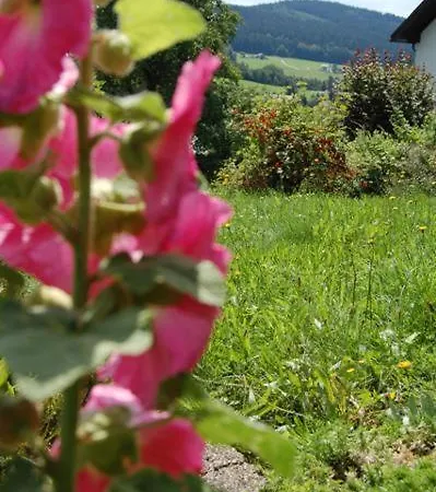 Apartamento Haus Farbenklang Zwiesel